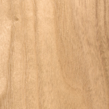 LM_Light Maple Tone_ABS.jpg